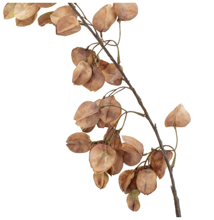 Kunst bloesemtak Koelreuteria 106cm taupe