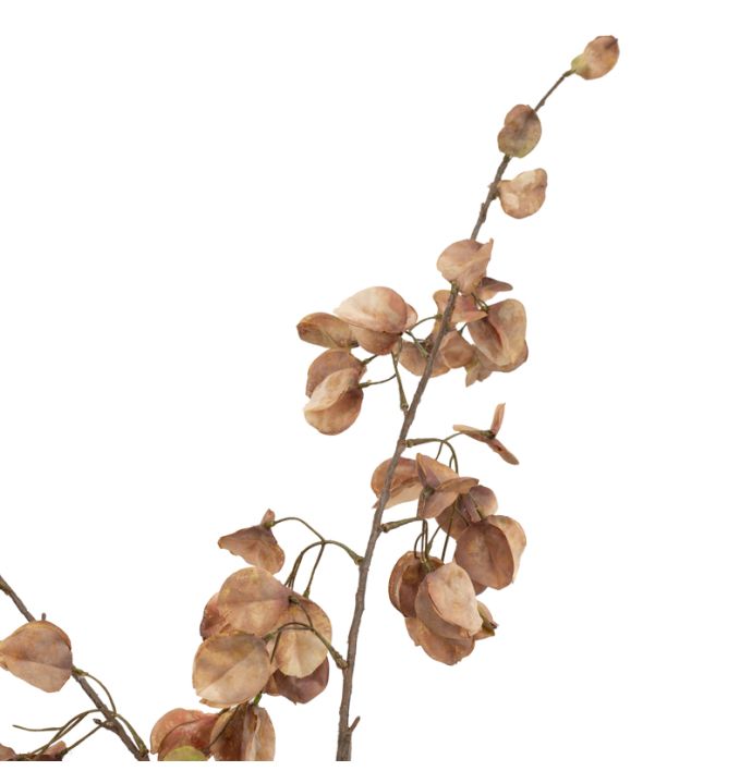 Kunst bloesemtak Koelreuteria 122cm taupe