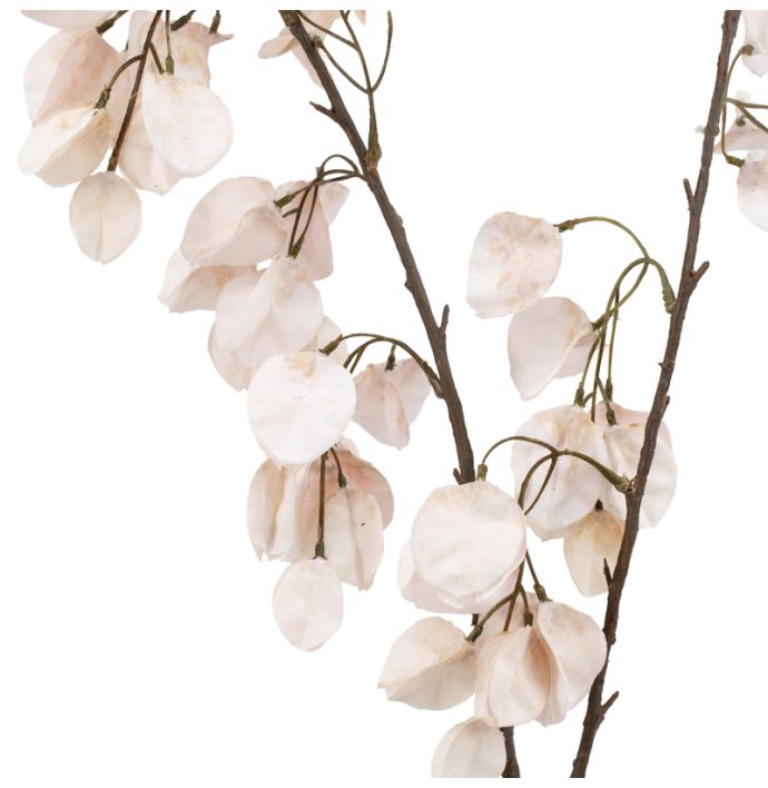 Kunst bloesemtak Koelreuteria 122cm off-white