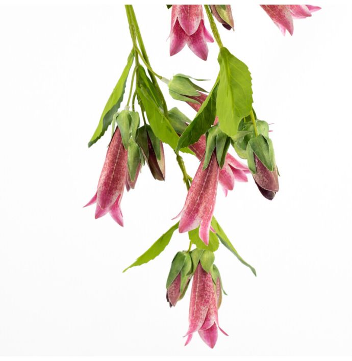Kunsttak ekianthus 90cm