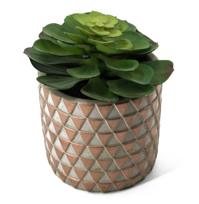 Vetplant