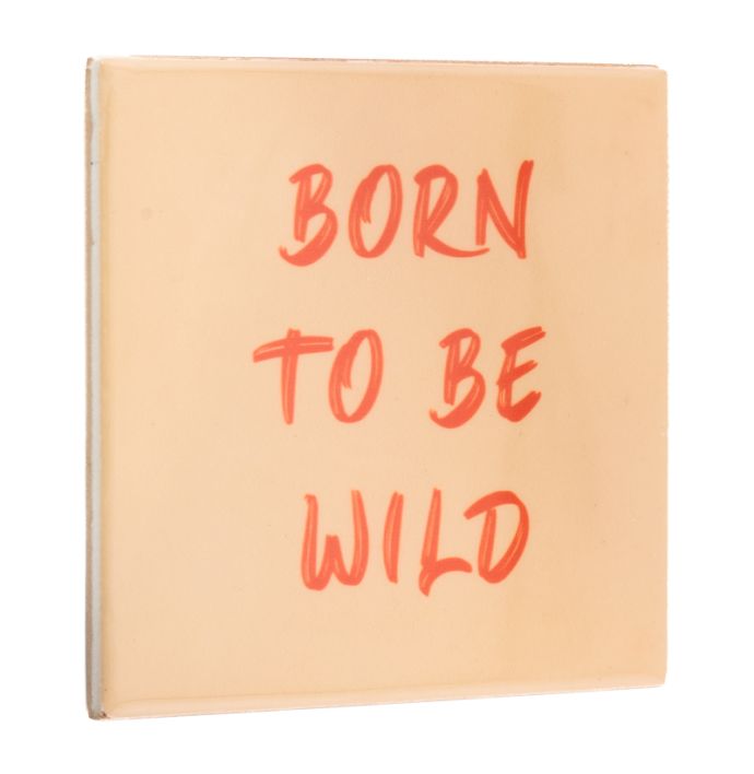 Tegeltje born to be wild