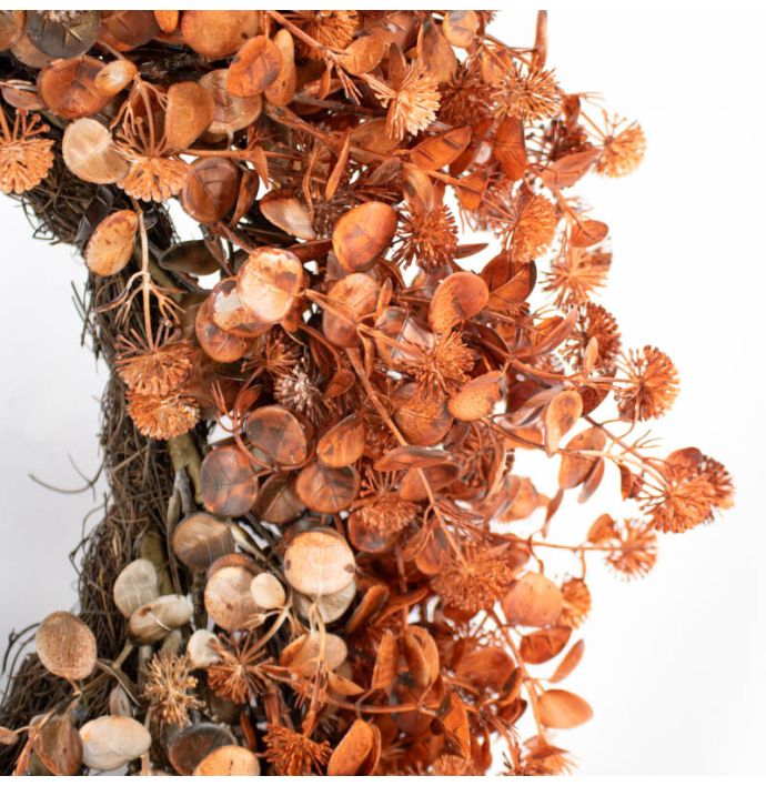 Eucalyptus krans burgundy