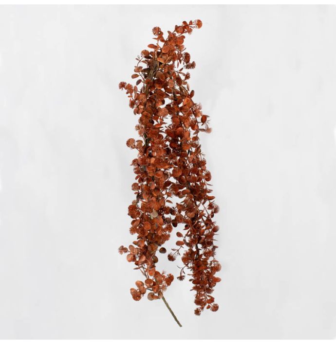 Eucalyptus slinger burgundy