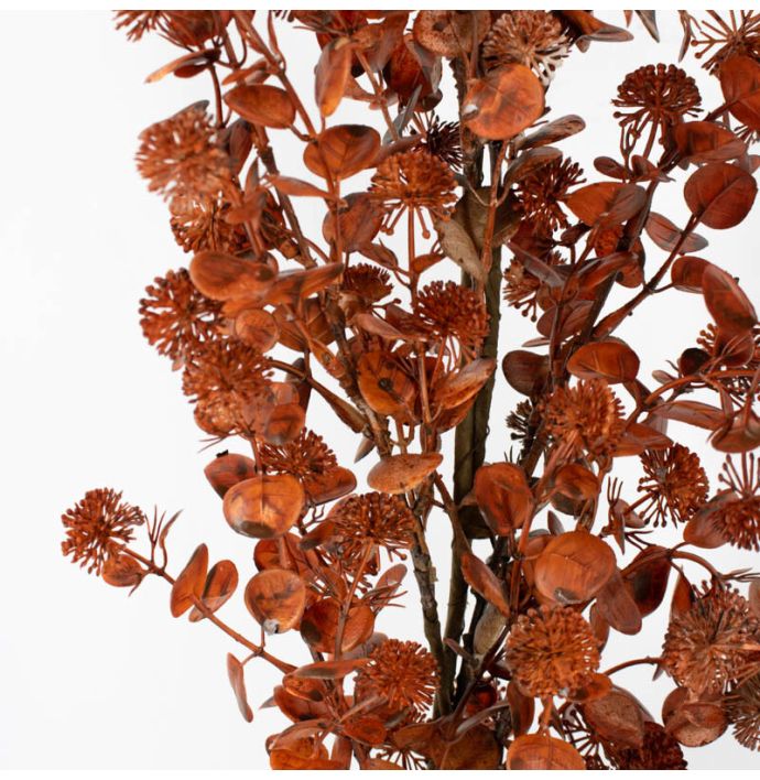 Eucalyptus slinger burgundy