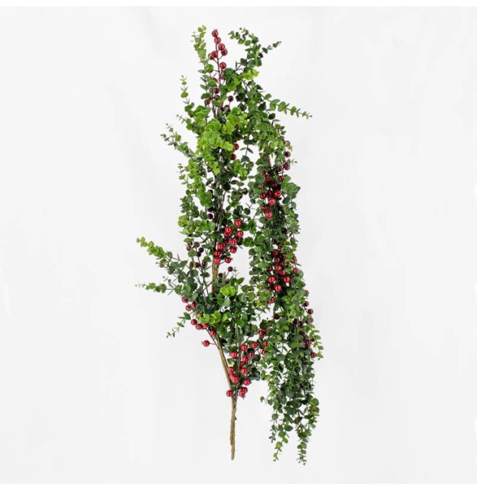 Eucalyptus slinger met besjes