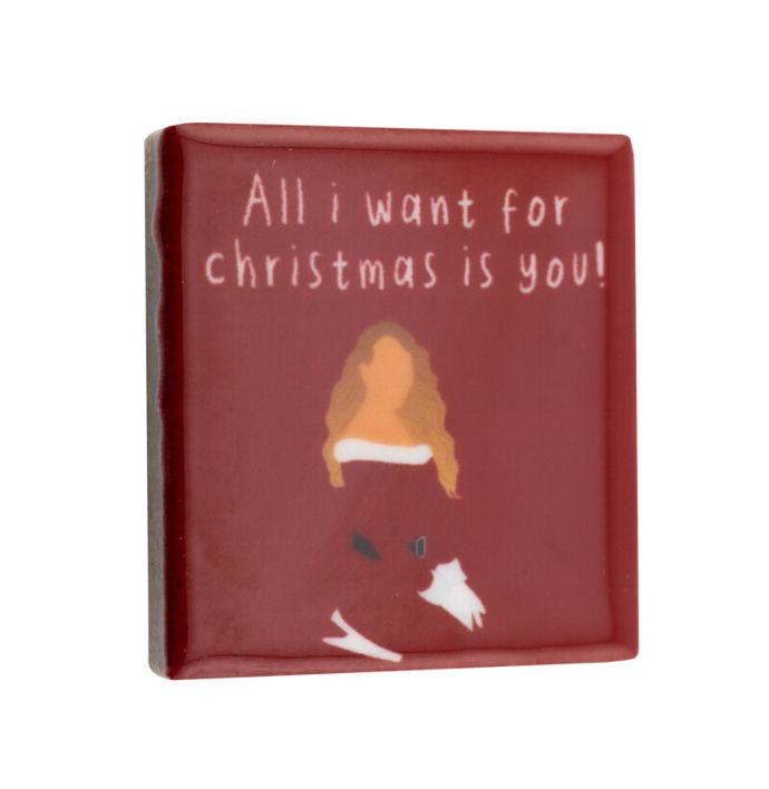 Magneettegeltje - All I want Mariah