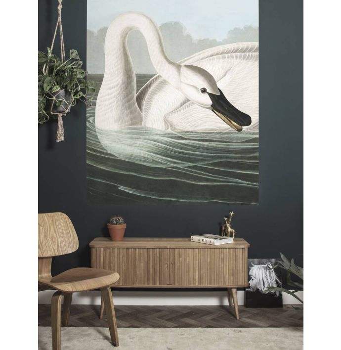 Behangpaneel Trompetzwaan