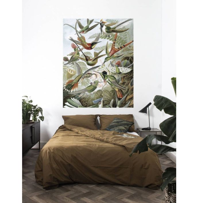 Behangpaneel Exotische vogels