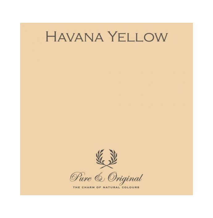 Traditional Paint High Gloss Havana Yellow