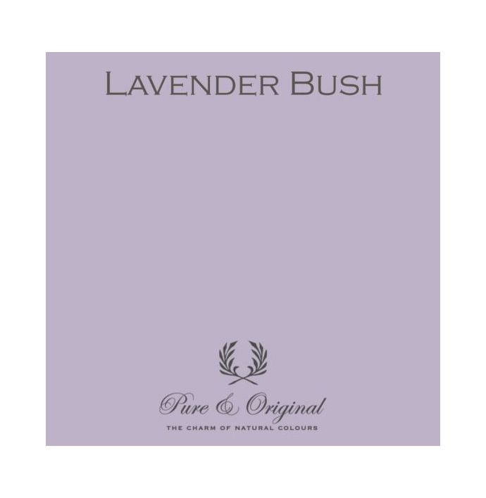 Pure & Original Licetto Lavender Bush