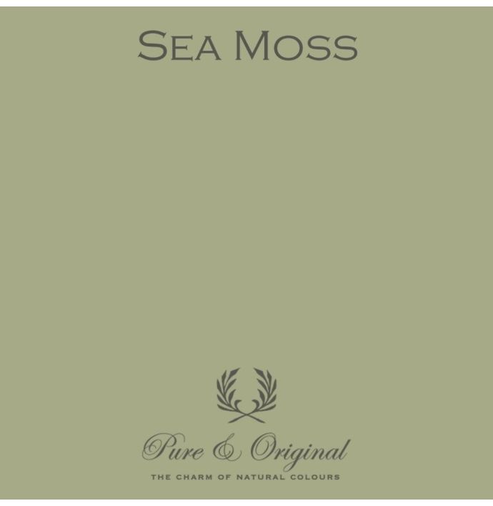 Pure & Original Classico Sea Moss