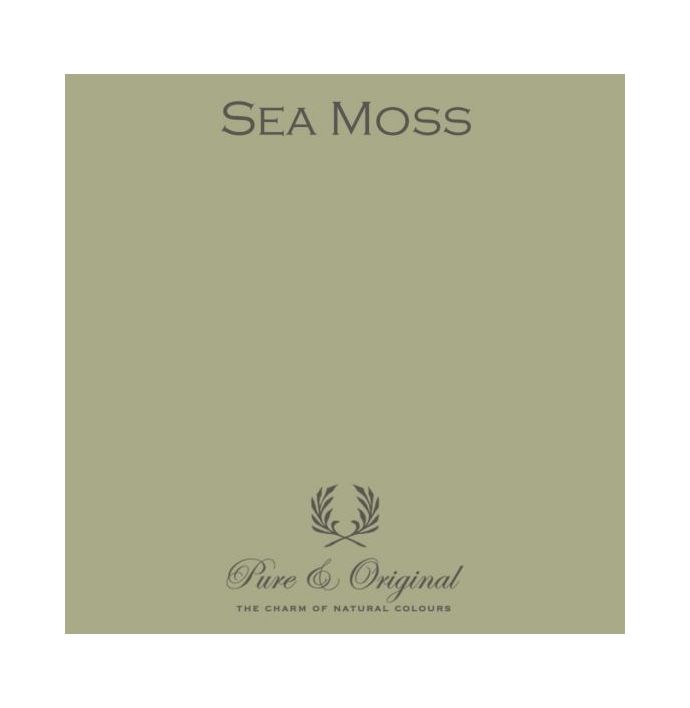 Traditional Paint High Gloss Sea Moss