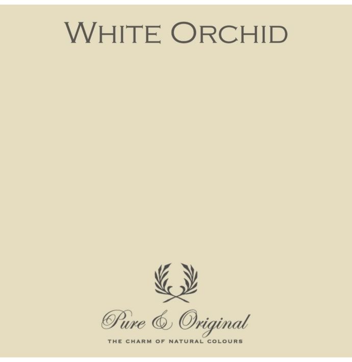 Traditional Paint High Gloss White Orchid