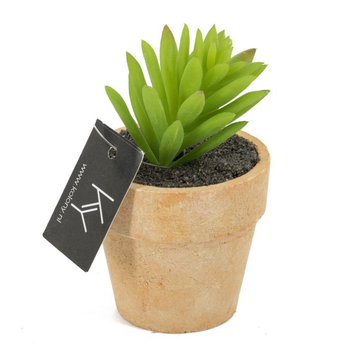 Cactus kunst in potje