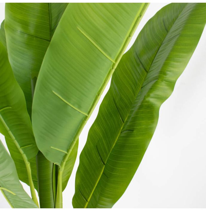 Kunstplant bananenboom 180cm