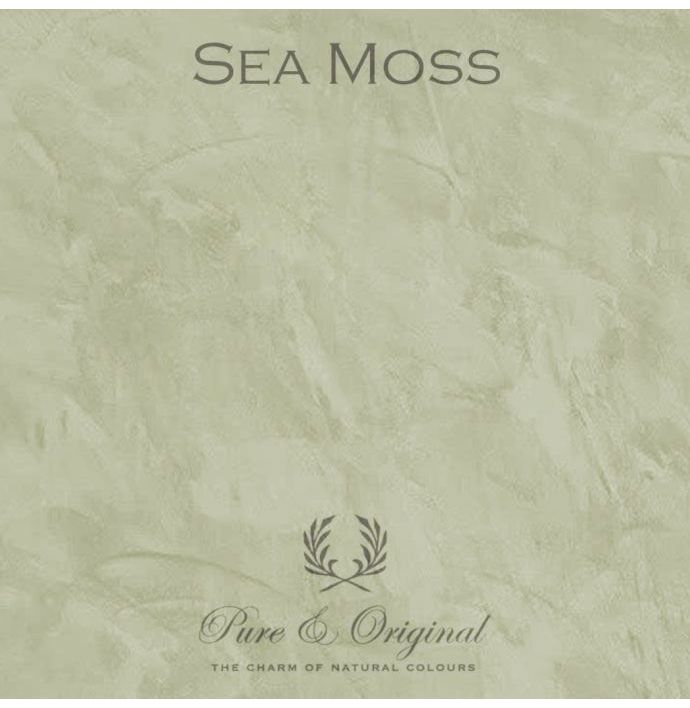 Pure & Original Marrakech Walls Sea Moss