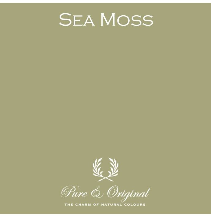 Pure & Original Traditional Paint Elements Sea Moss