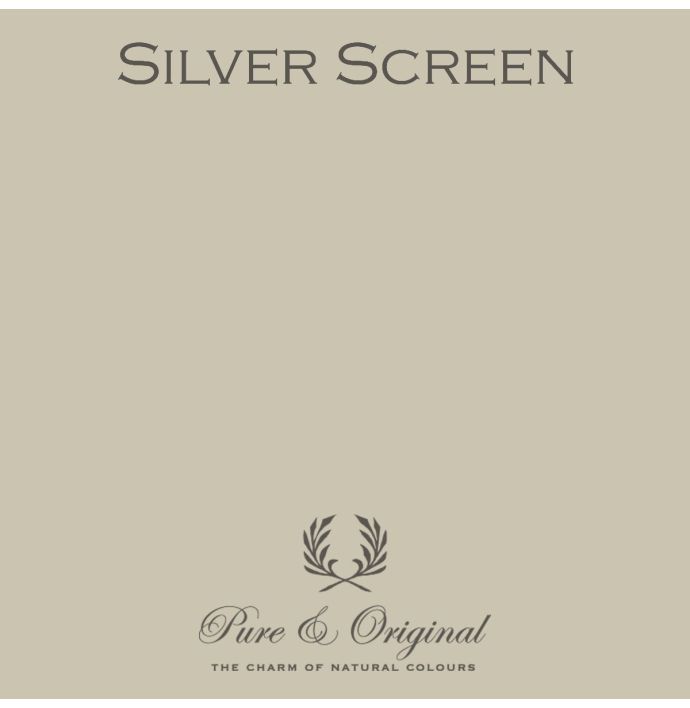 Traditional Paint High Gloss Silver Screen