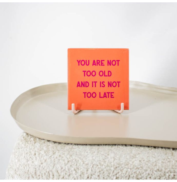 Tegeltje - You are not too old 