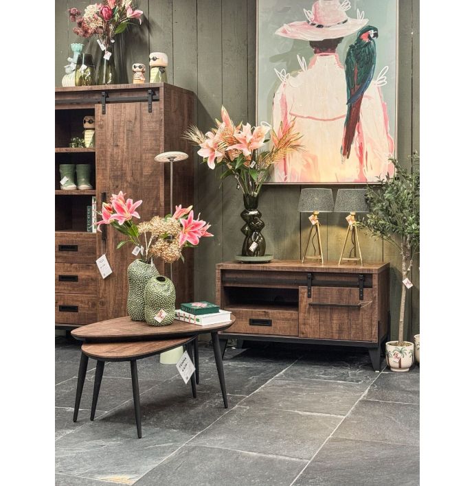 Schilderij vrouw papegaai