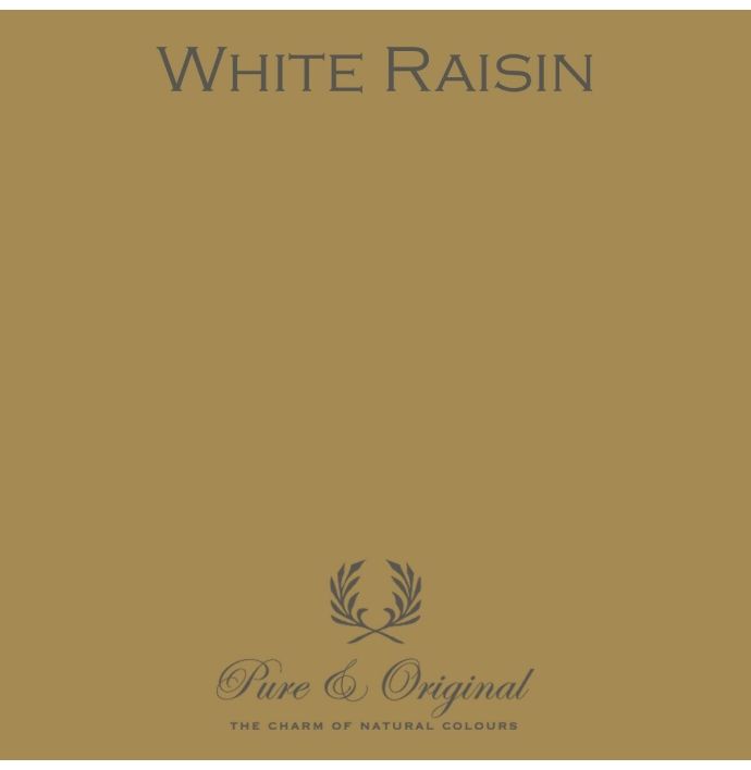 Traditional Paint High Gloss White Raisin