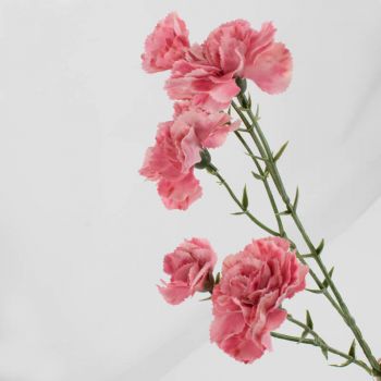 Kunstbloem anjer roze