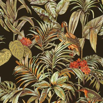 Patroon behang Best Sellers - bird of paradise