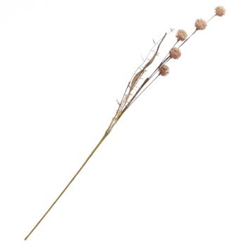 Veldboeketje distel oudroze 