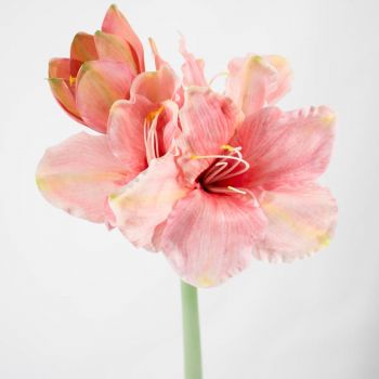 Kunstbloem Amaryllis  roze