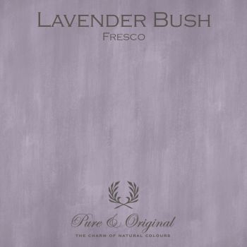 Pure & Original Fresco Lavender Bush