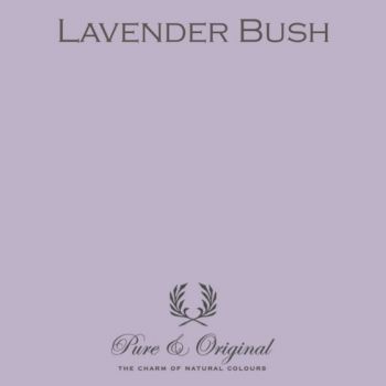 Pure & Original Carazzo Lavender Bush