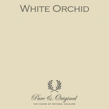 Pure & Original Licetto white orchid